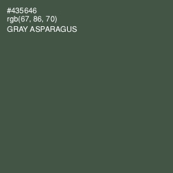 #435646 - Gray Asparagus Color Image