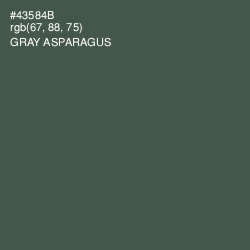 #43584B - Gray Asparagus Color Image