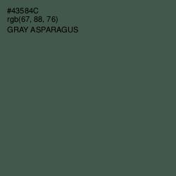 #43584C - Gray Asparagus Color Image