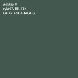 #43584E - Gray Asparagus Color Image