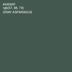 #43584F - Gray Asparagus Color Image