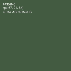 #435B40 - Gray Asparagus Color Image