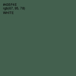 #435F4E - Gray Asparagus Color Image