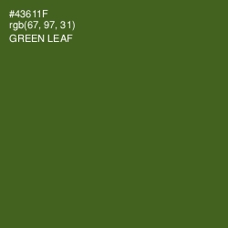 #43611F - Green Leaf Color Image