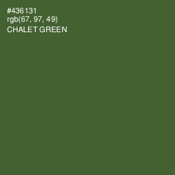 #436131 - Chalet Green Color Image