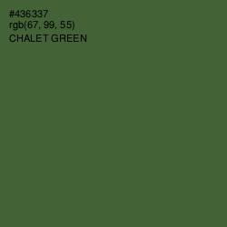 #436337 - Chalet Green Color Image