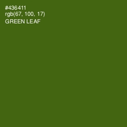 #436411 - Green Leaf Color Image