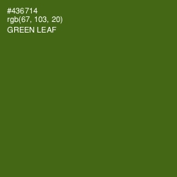 #436714 - Green Leaf Color Image