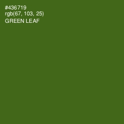#436719 - Green Leaf Color Image