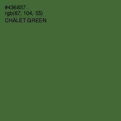 #436837 - Chalet Green Color Image