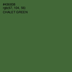 #436838 - Chalet Green Color Image