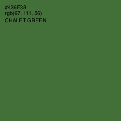 #436F38 - Chalet Green Color Image