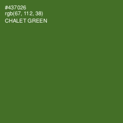 #437026 - Chalet Green Color Image