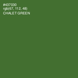#437030 - Chalet Green Color Image
