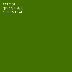 #437101 - Green Leaf Color Image