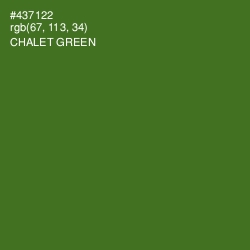 #437122 - Chalet Green Color Image