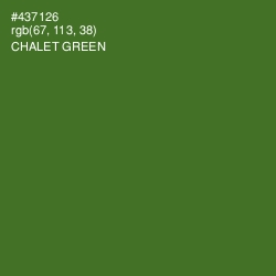 #437126 - Chalet Green Color Image