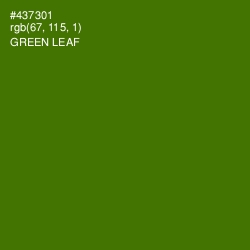 #437301 - Green Leaf Color Image