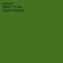 #437321 - Chalet Green Color Image