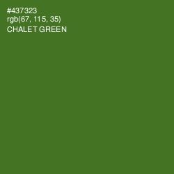 #437323 - Chalet Green Color Image