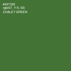#437335 - Chalet Green Color Image