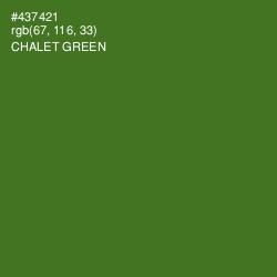 #437421 - Chalet Green Color Image