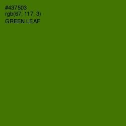 #437503 - Green Leaf Color Image