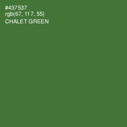 #437537 - Chalet Green Color Image