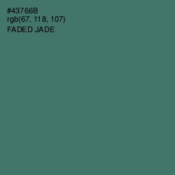 #43766B - Faded Jade Color Image