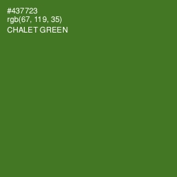 #437723 - Chalet Green Color Image