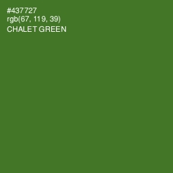 #437727 - Chalet Green Color Image