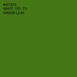#437815 - Green Leaf Color Image