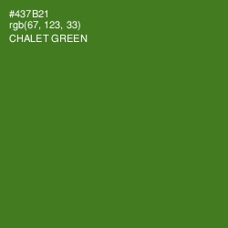 #437B21 - Chalet Green Color Image