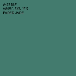 #437B6F - Faded Jade Color Image