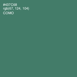 #437C68 - Como Color Image