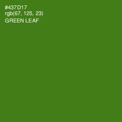 #437D17 - Green Leaf Color Image