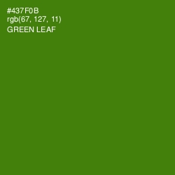 #437F0B - Green Leaf Color Image