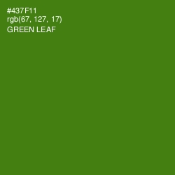 #437F11 - Green Leaf Color Image