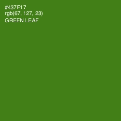 #437F17 - Green Leaf Color Image