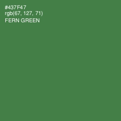 #437F47 - Fern Green Color Image