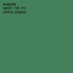 #43805B - Hippie Green Color Image