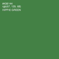 #438144 - Hippie Green Color Image