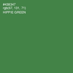 #438347 - Hippie Green Color Image