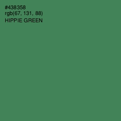 #438358 - Hippie Green Color Image