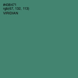 #438471 - Viridian Color Image