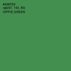 #438F50 - Hippie Green Color Image