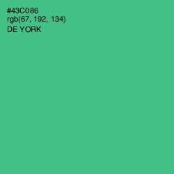 #43C086 - De York Color Image