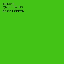 #43C316 - Bright Green Color Image