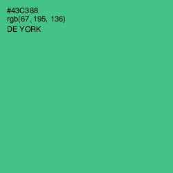 #43C388 - De York Color Image