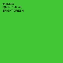#43C635 - Bright Green Color Image